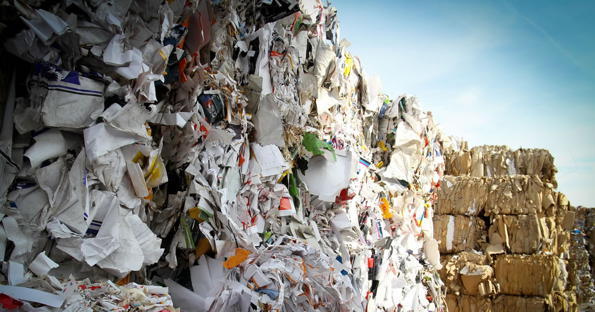 Recycling Meets Reality Featured